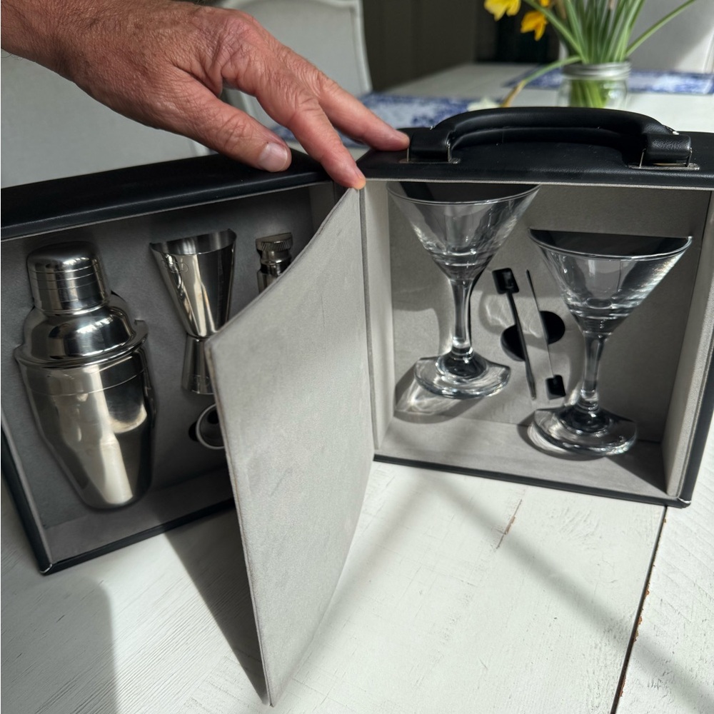 Martini Glasses & Cocktail Bar Tool Set - Clear Glass, Silver Tools 🍸 - Picture 5 of 9